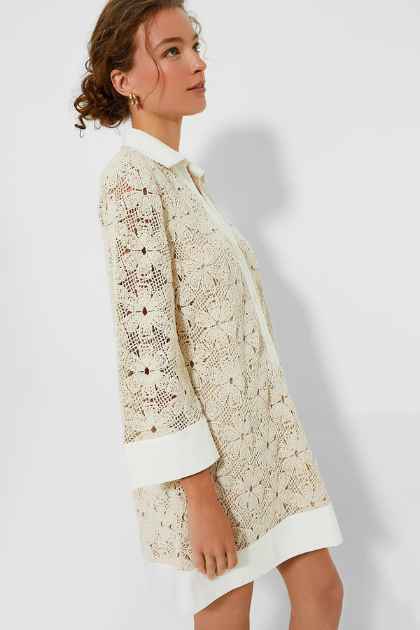 Tan Crochet Collier Dress