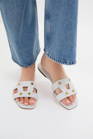 Coconut Via Slides