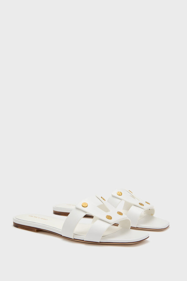 Coconut Via Slides