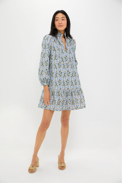 Blue Daisy Embroidered Palmerston Dress
